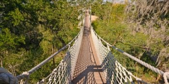 Commercial Real Estate in Alamo | Commercial Properties in Alamo Texas